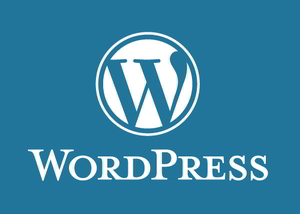 Hướng dẫn lập trình theme WordPress – Phần 4: WordPress Api là gì?